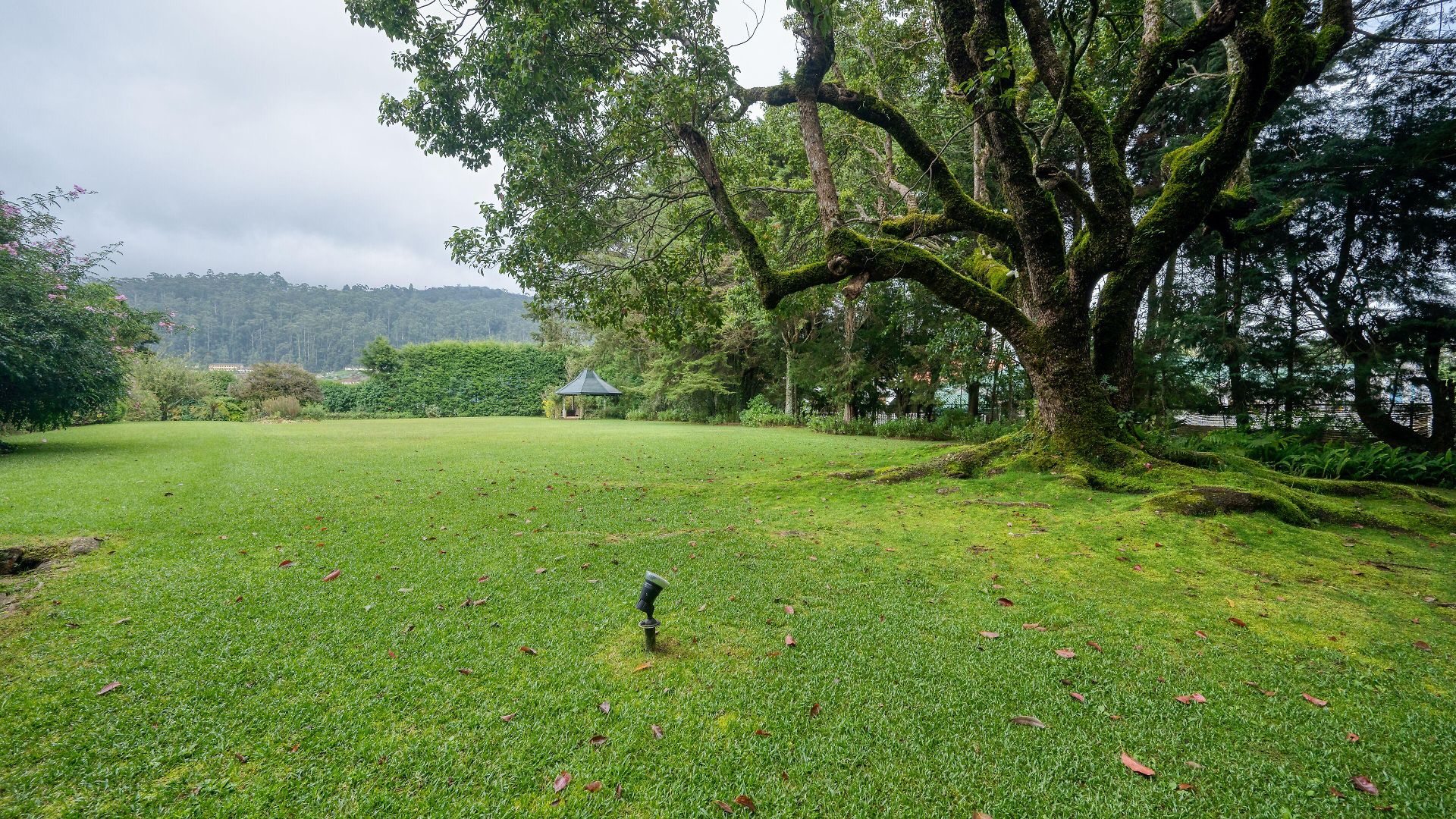 Ferncliff Nuwara Eliya