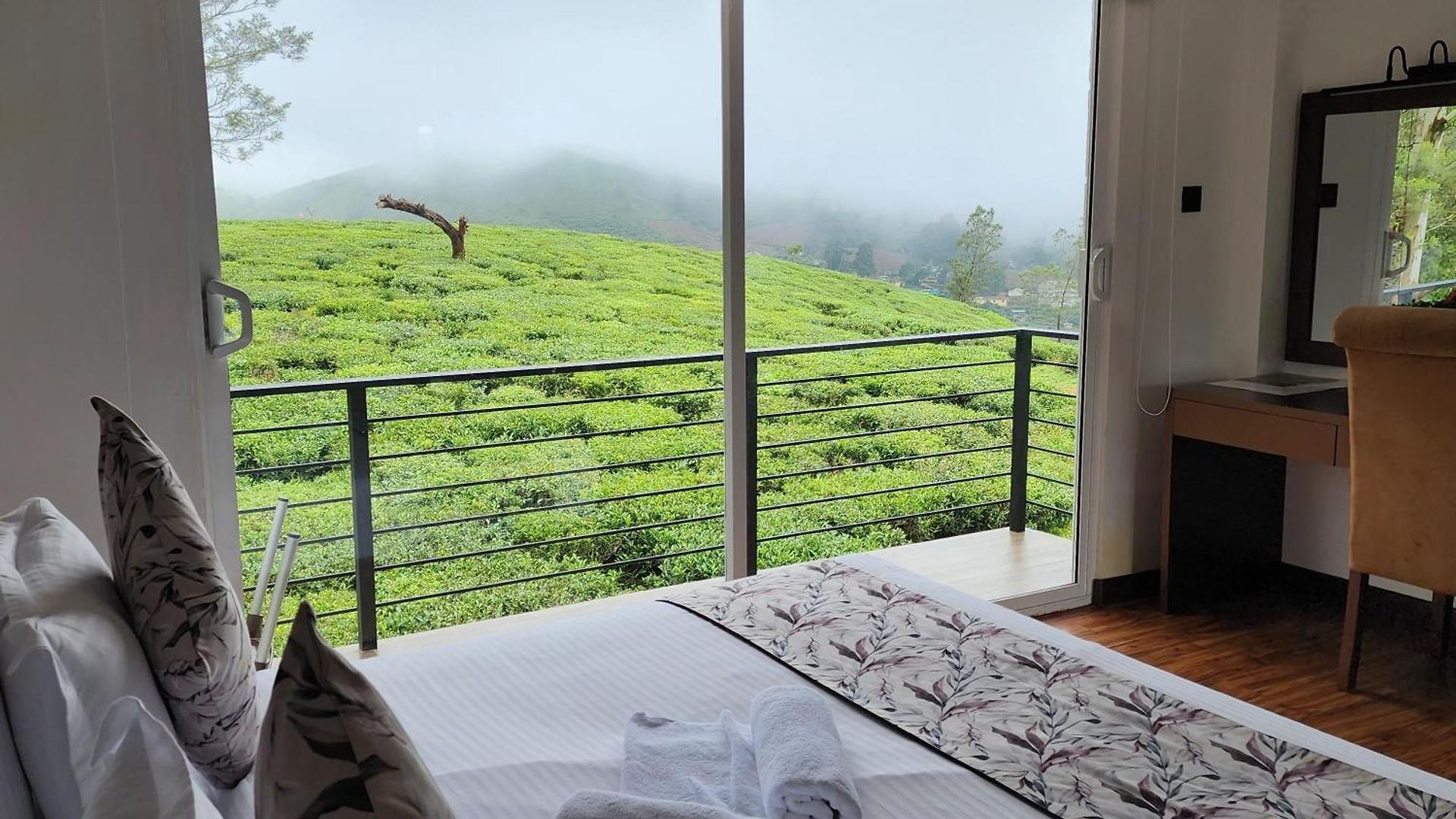 Mountain Misty-nuwaraeliya Nuwara Eliya