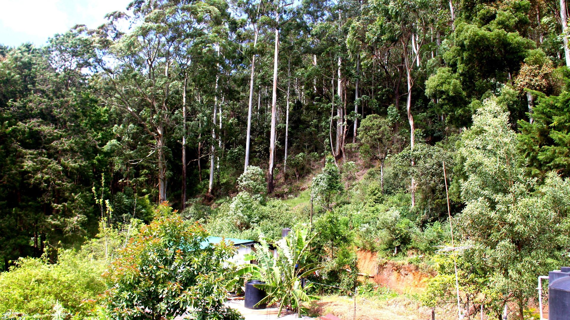 Chez Allen Mountain View Guest house 2*