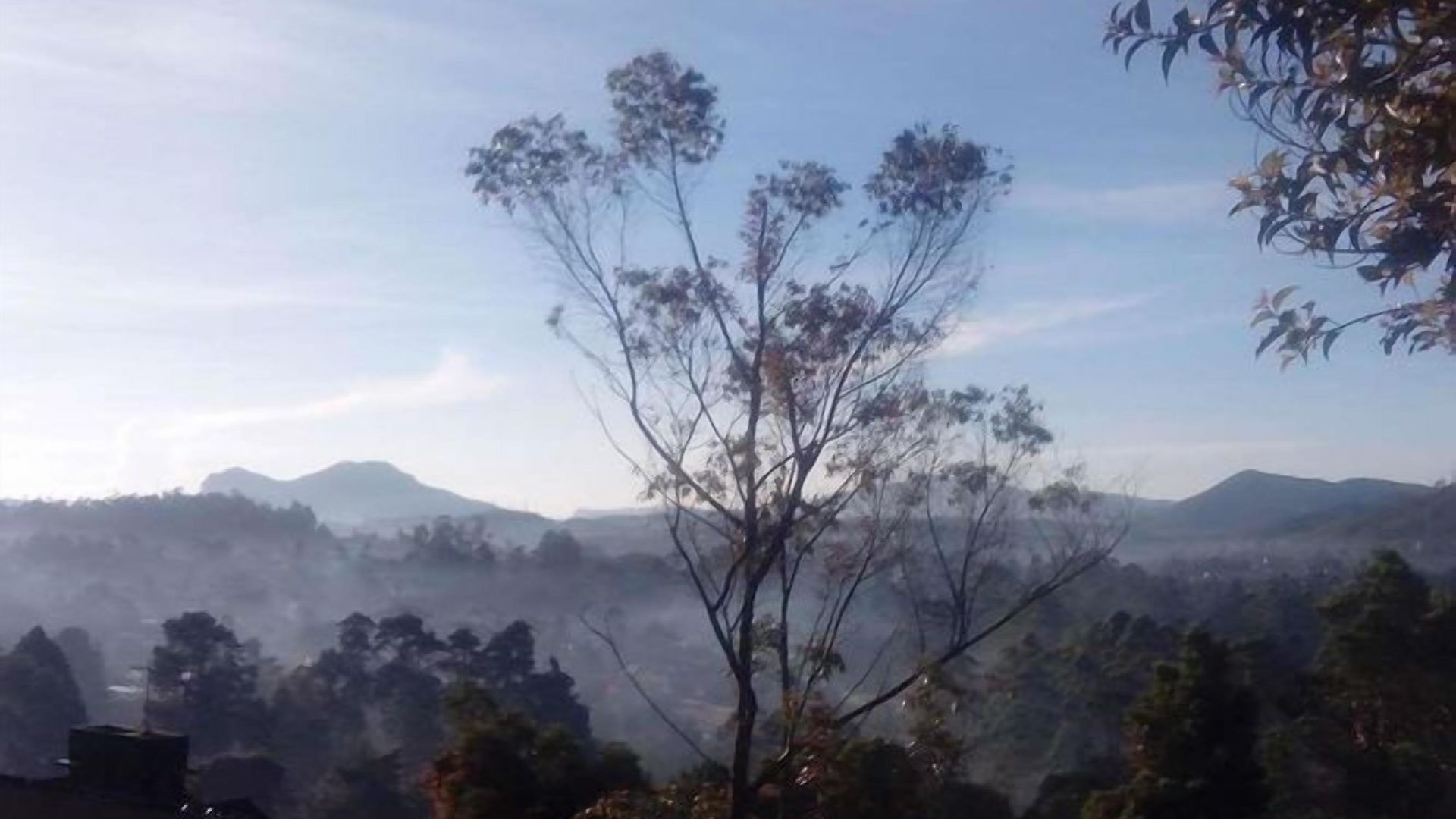 Guest house Chez Allen Mountain View Nuwara Eliya