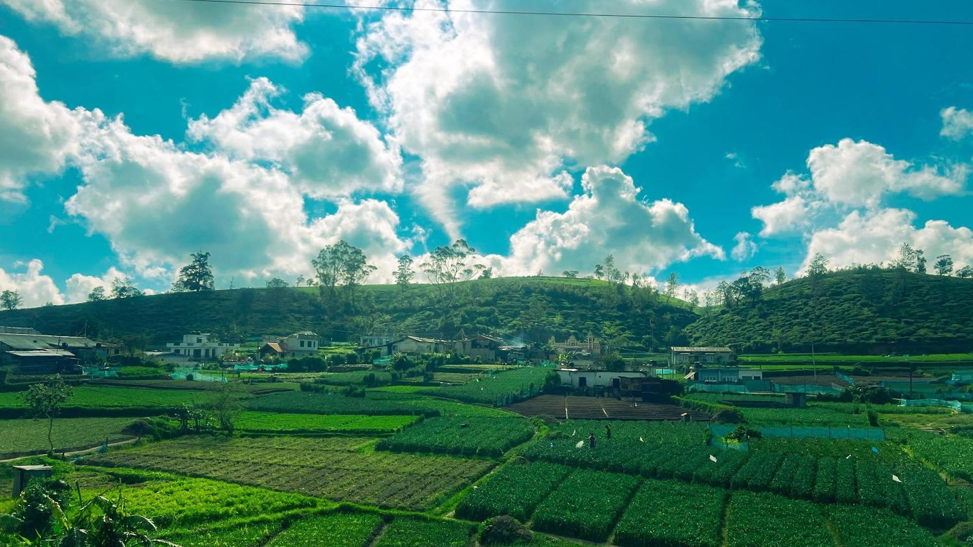 Little England Hotel Nuwara Eliya