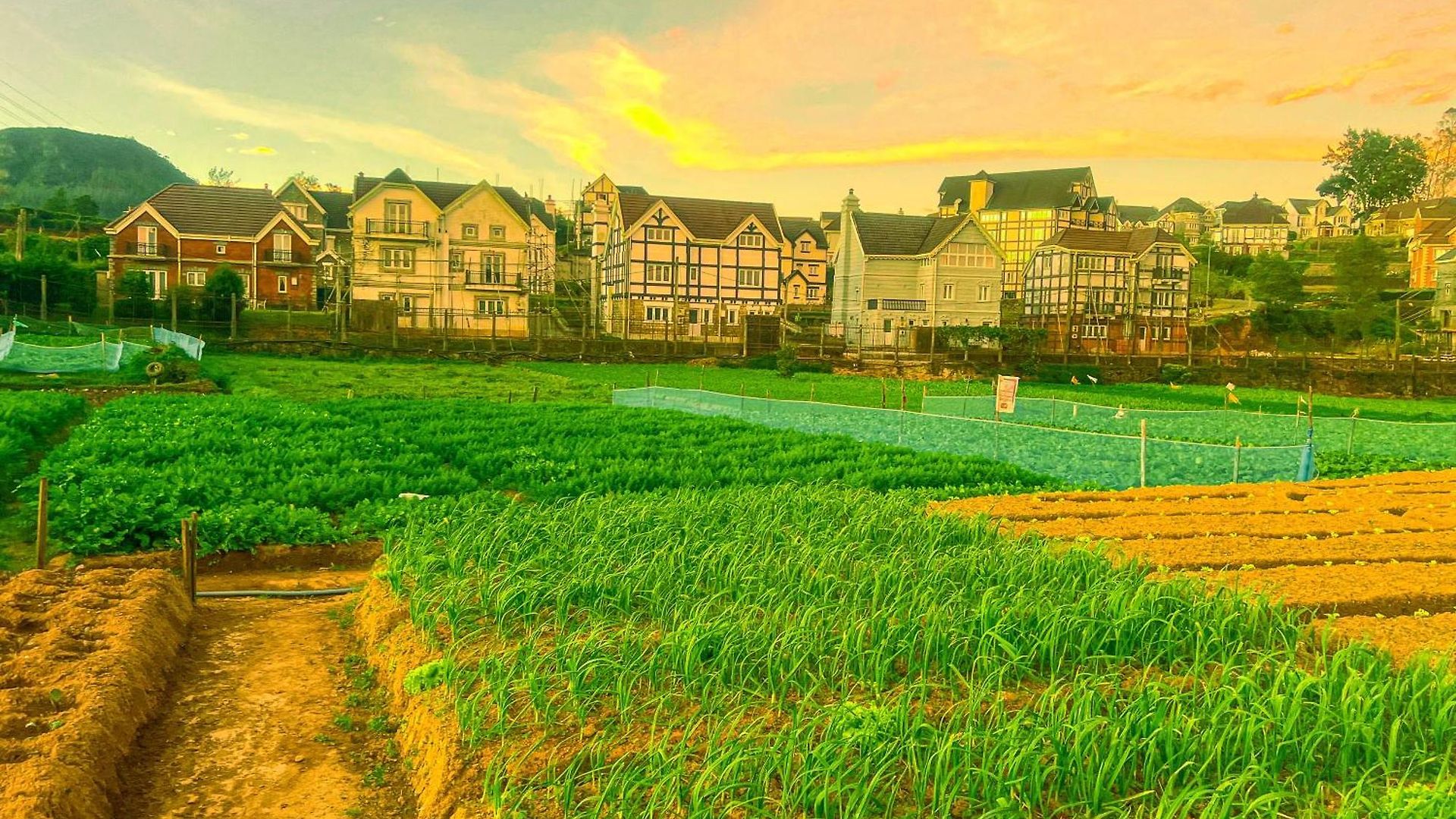 Hotel Little England Nuwara Eliya