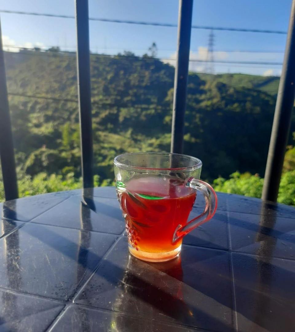 Lavender & Wood Nuwara Eliya