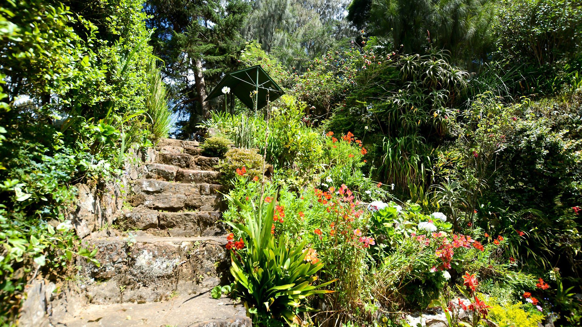Mount Mary 3*