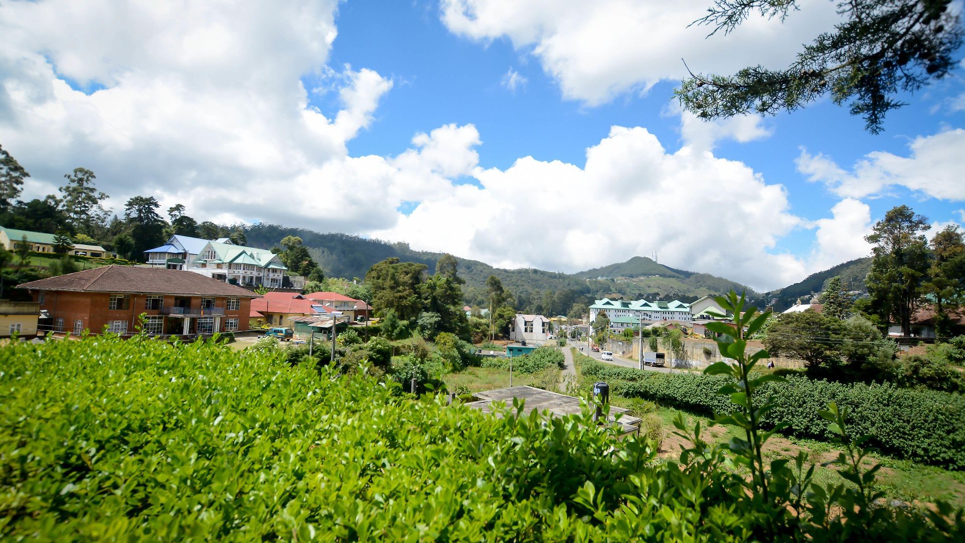 Mount Mary Inn 3*