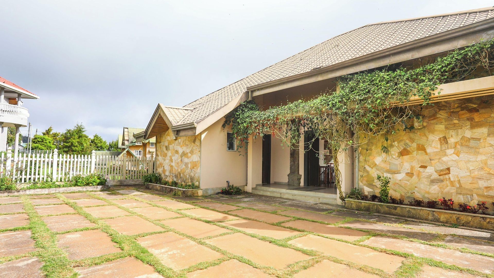 Acacia Nuwara Eliya