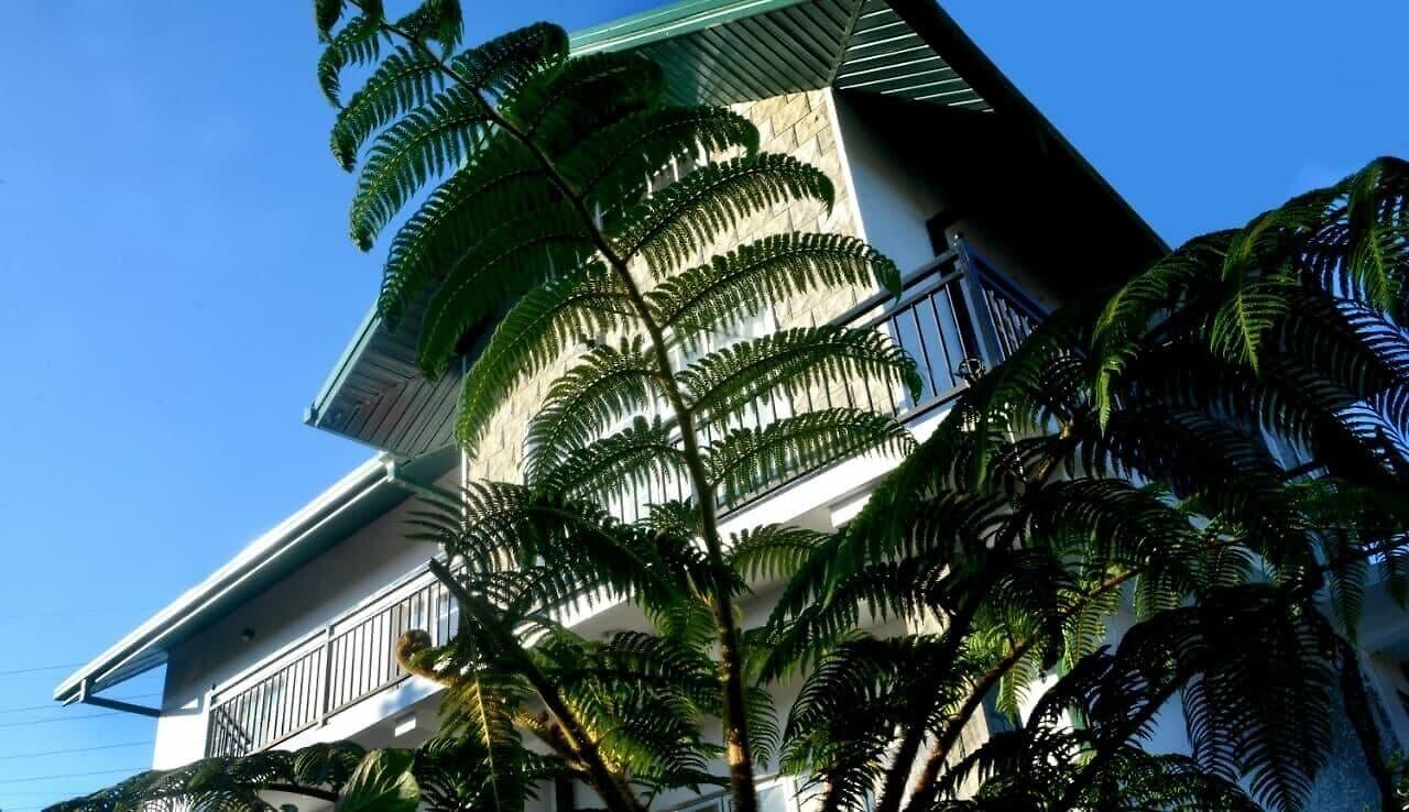 The Fern Inn 2*
