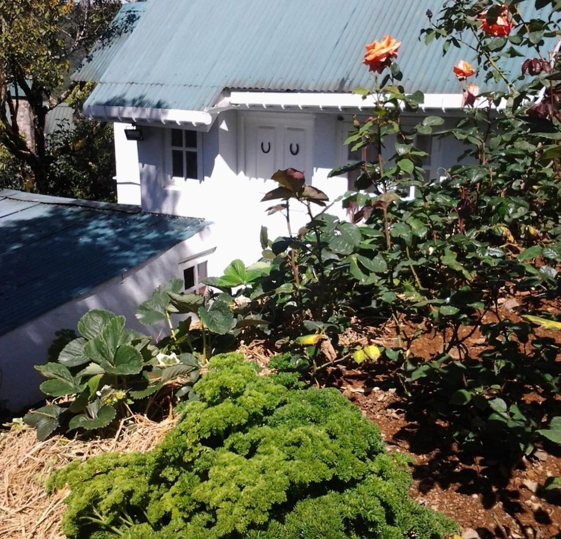 Sincere Wilderness Guest house 3*