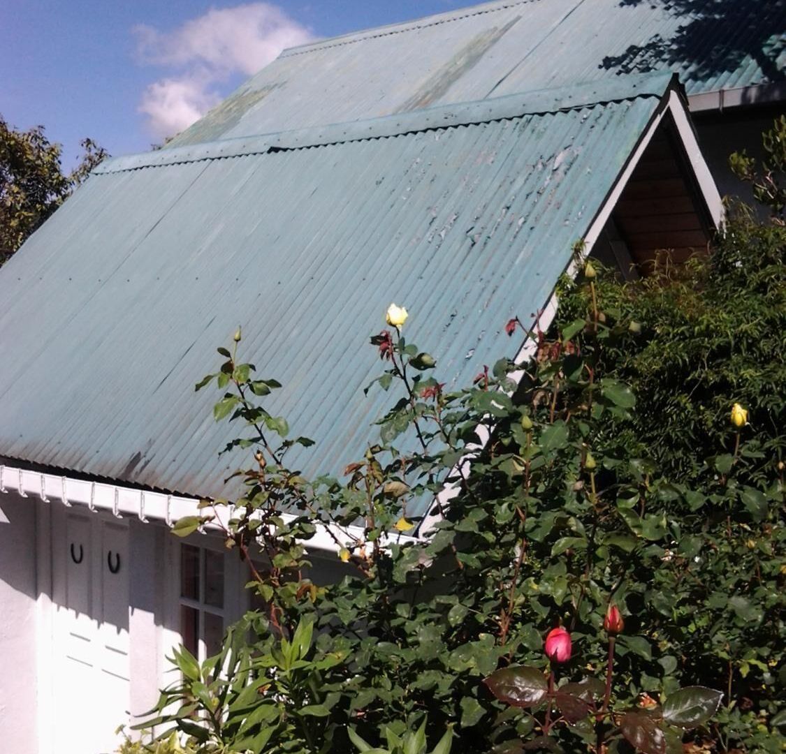 Sincere Wilderness Guest house