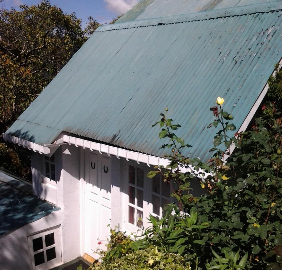 Sincere Wilderness Guest house