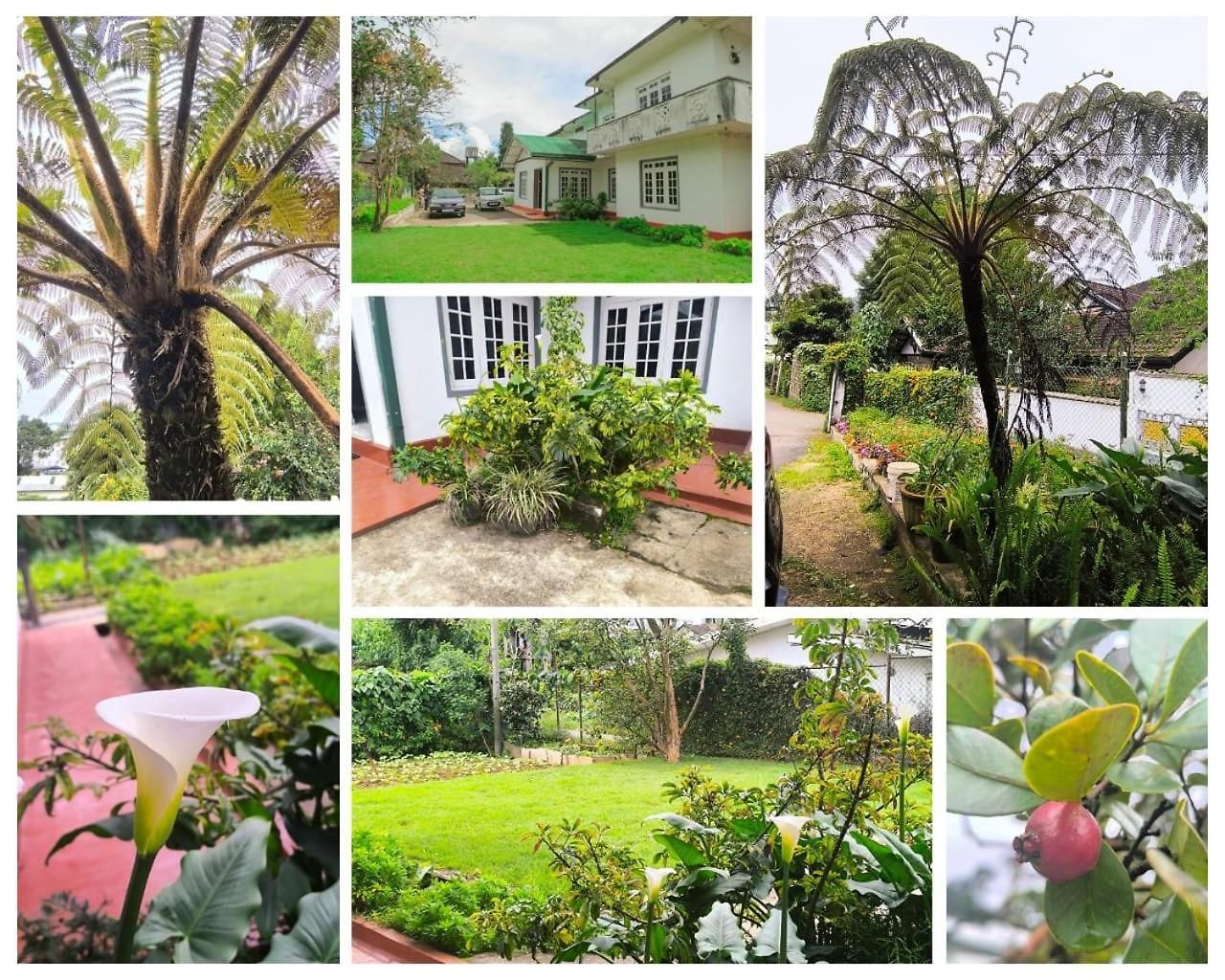 Hotel Glenfall Guest Nuwara Eliya