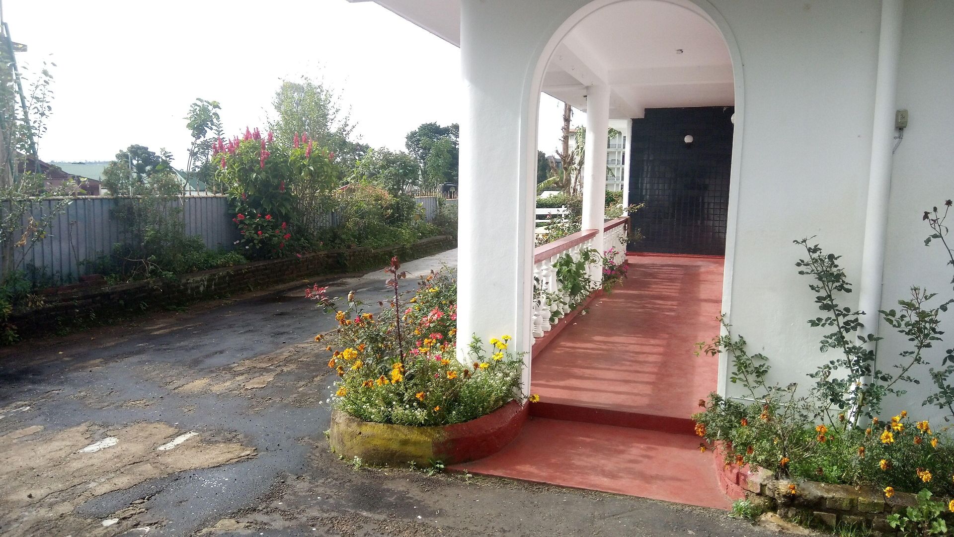 Guest house Olive Grand