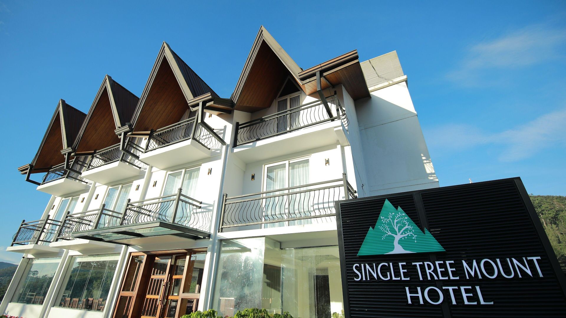 Hotel Single Tree Mount 4*