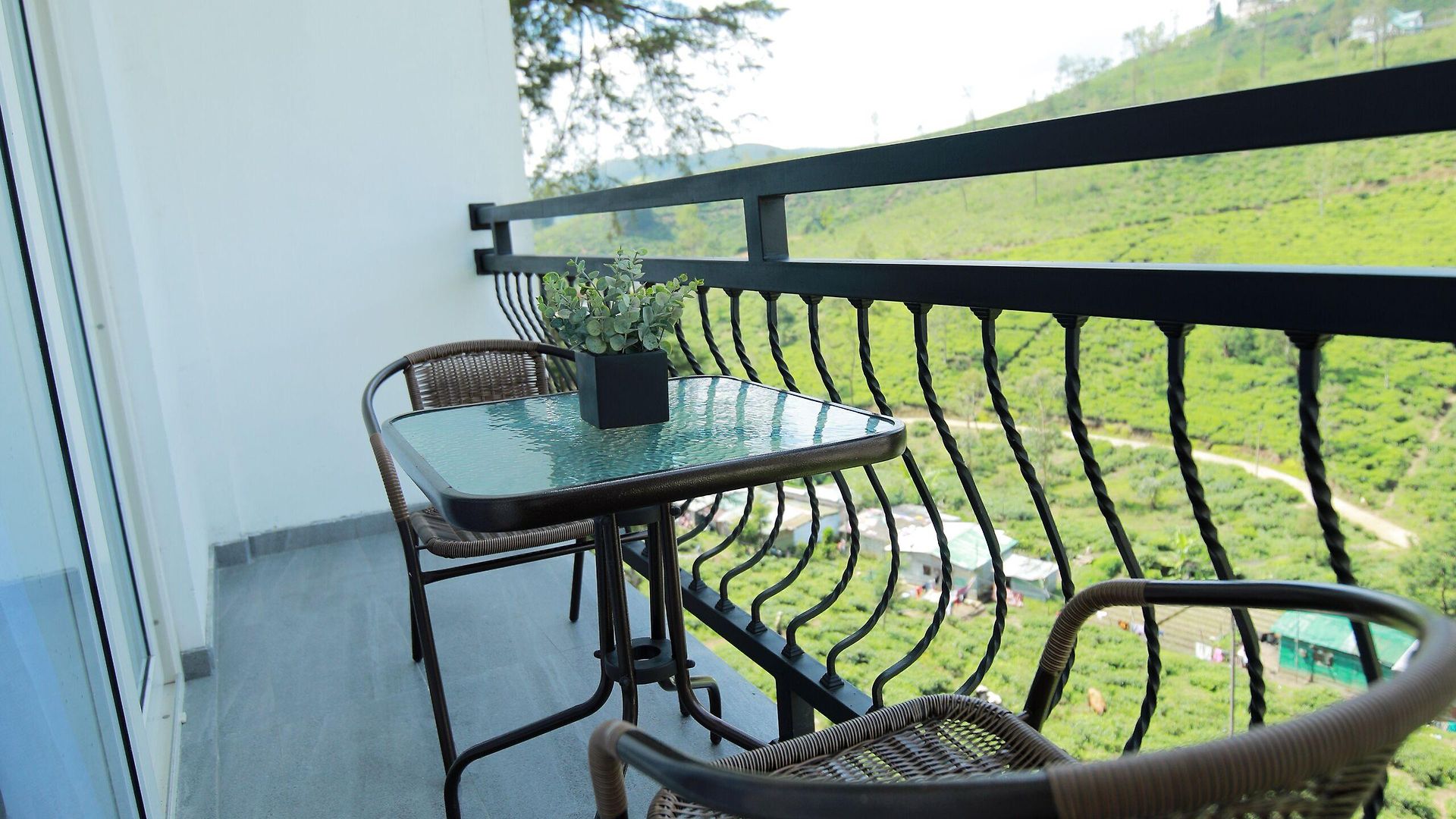 Single Tree Mount Hotel Nuwara Eliya