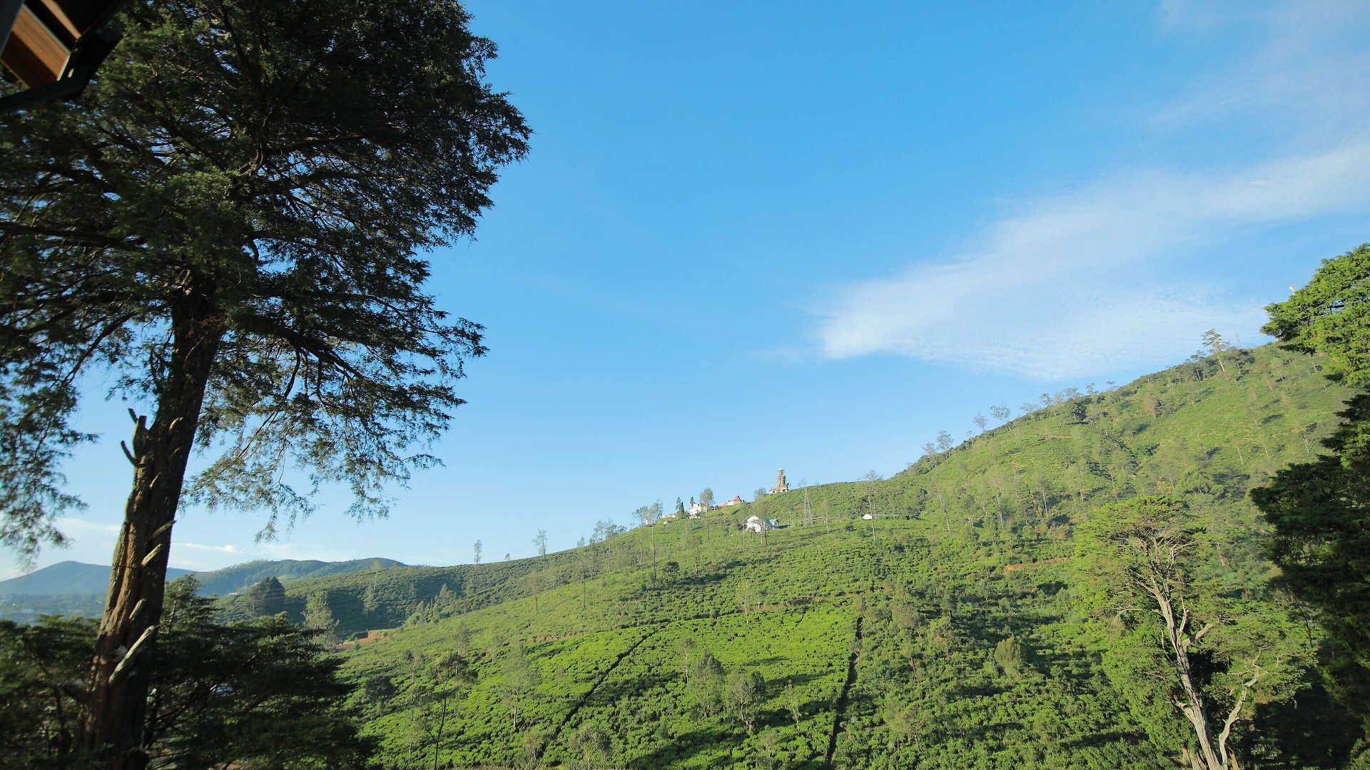 Single Tree Mount Hotel Nuwara Eliya