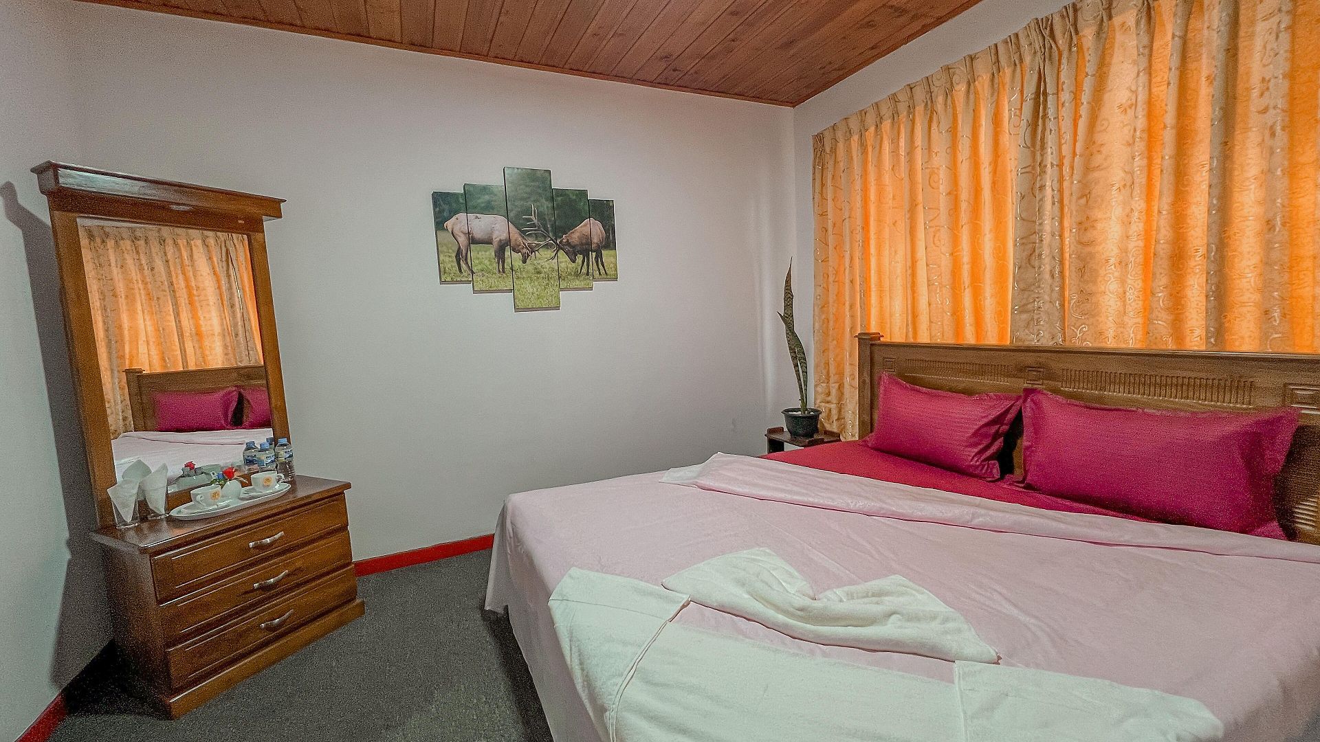 Vista Royal Guest 3*