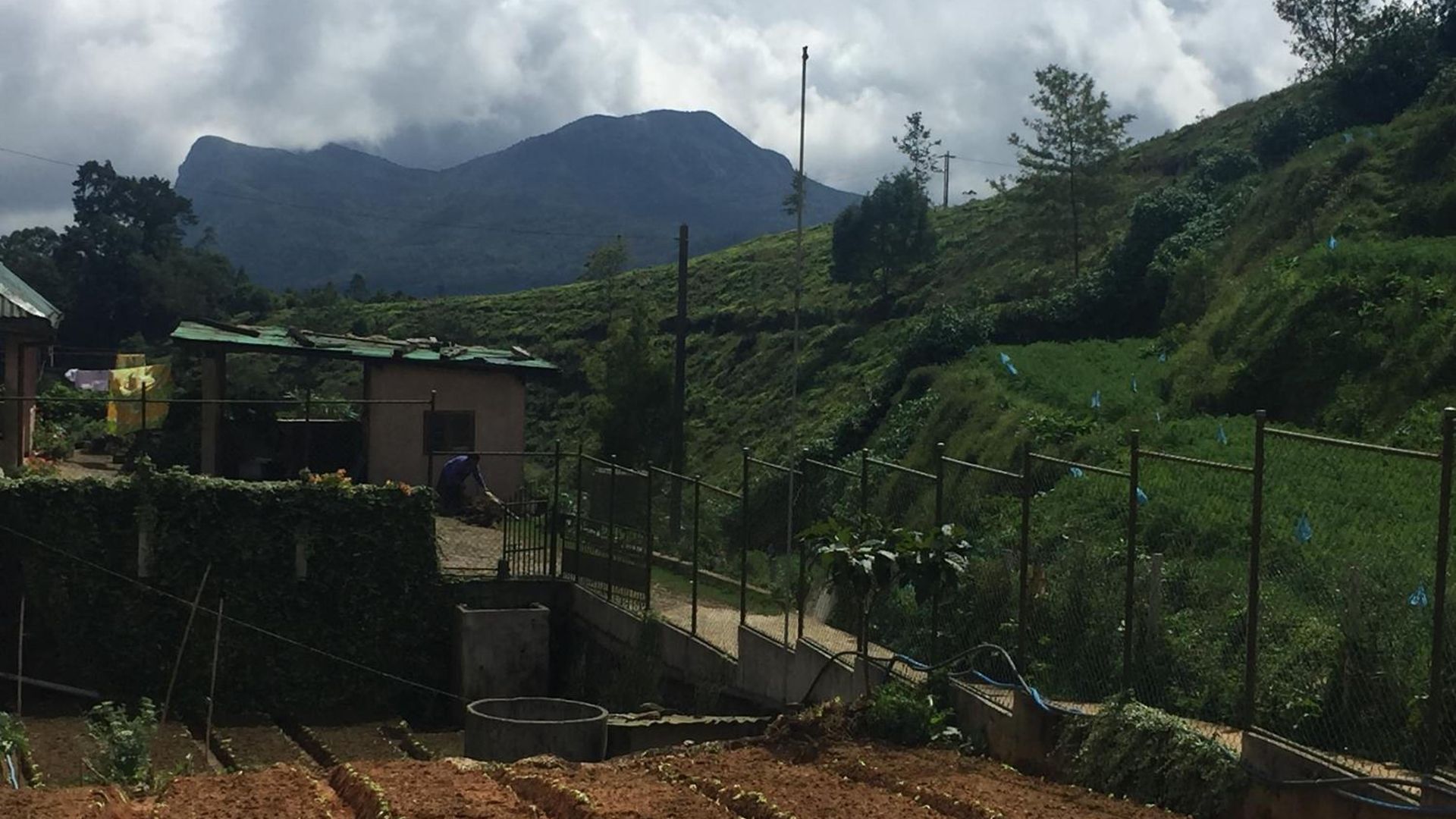 Chandrasobana Guest house Nuwara Eliya