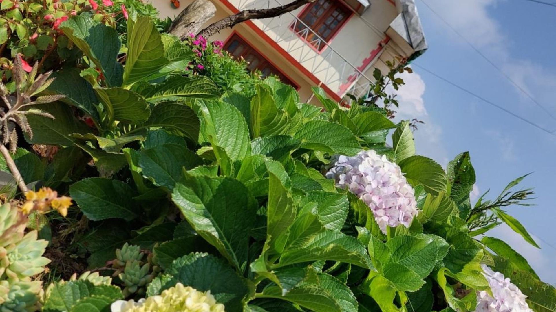 Chandrasobana Guest house Nuwara Eliya