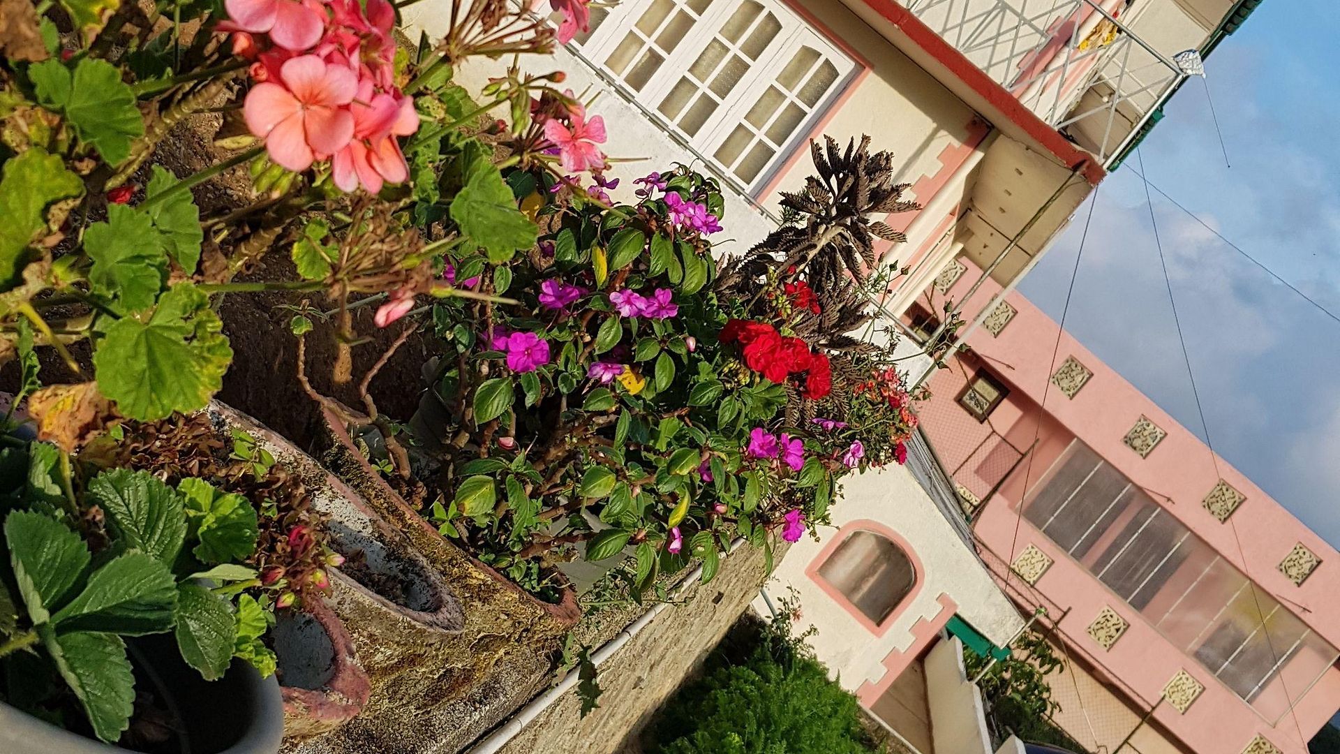 Guest house Chandrasobana 3*