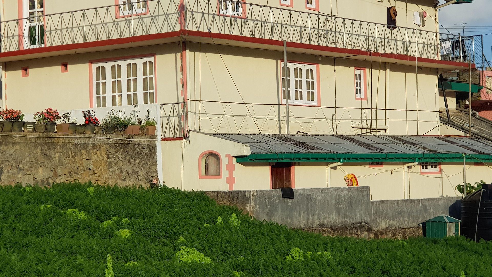 Guest house Chandrasobana