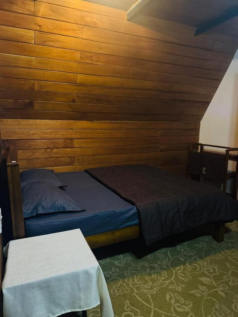 Aryans Hotel *