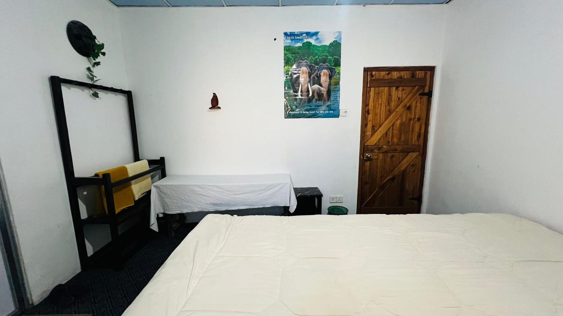 Sasru * Nuwara Eliya