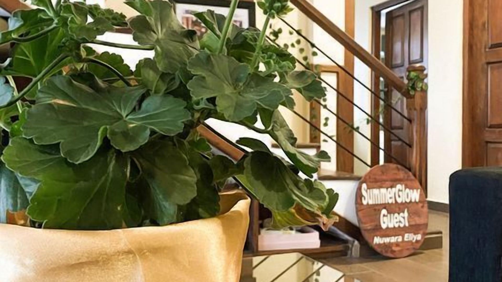 Guest house Summer Glow Guest -