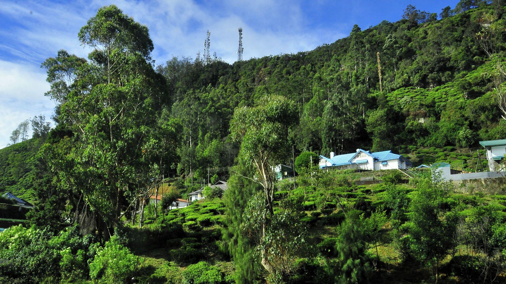 Summer Glow Guest - Nuwara Eliya