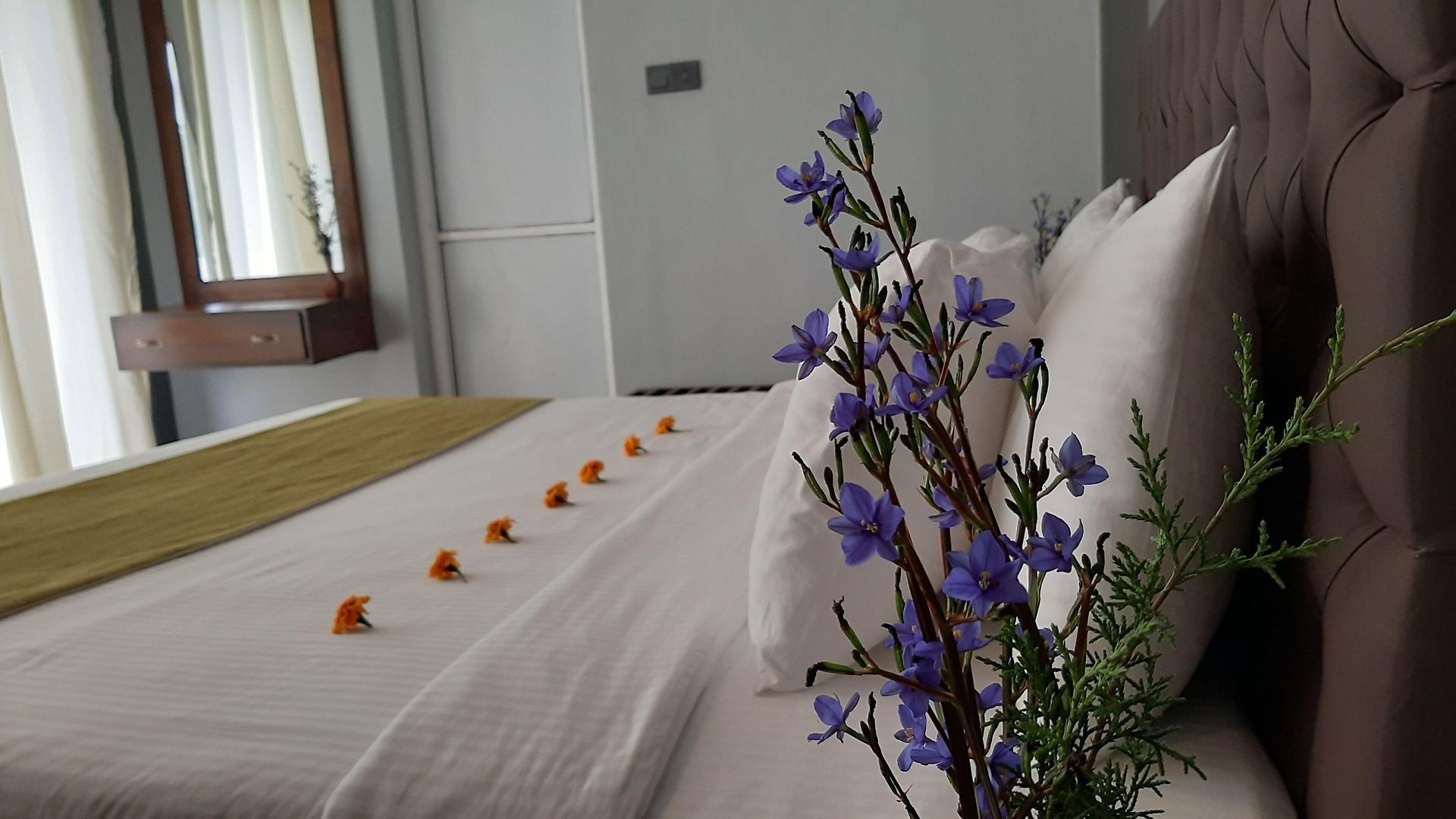 Hotel Tea Mount Forest 3*