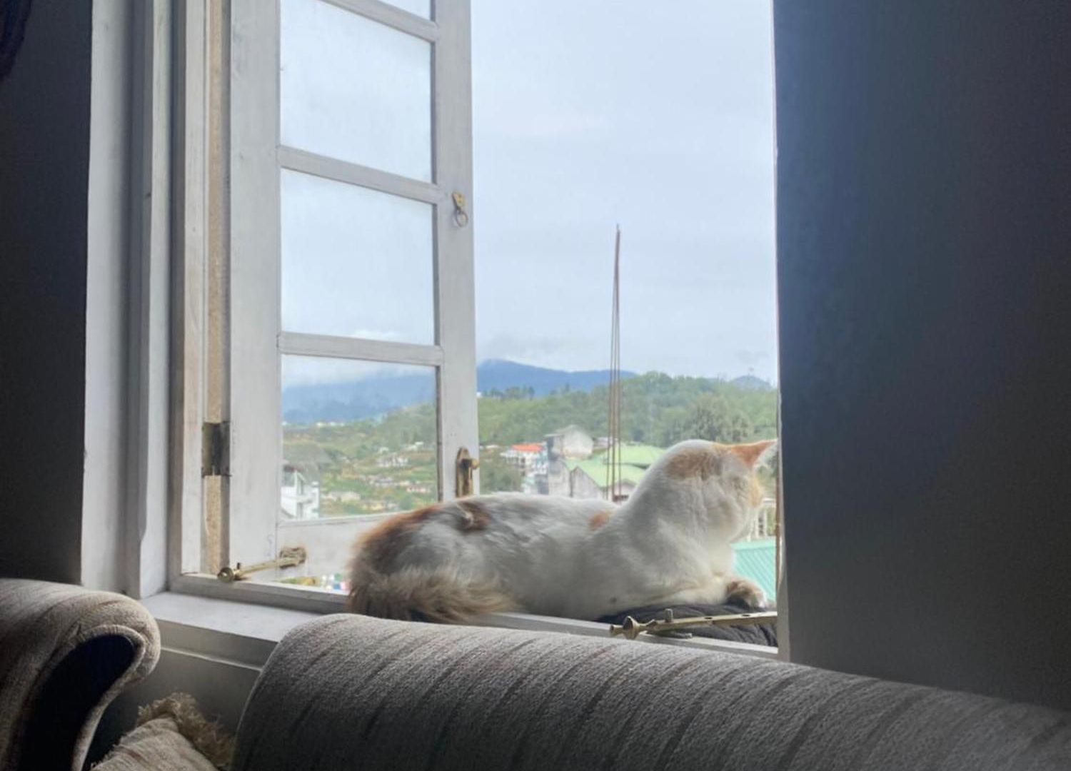 The Niwasa Resident Hotel Nuwara Eliya