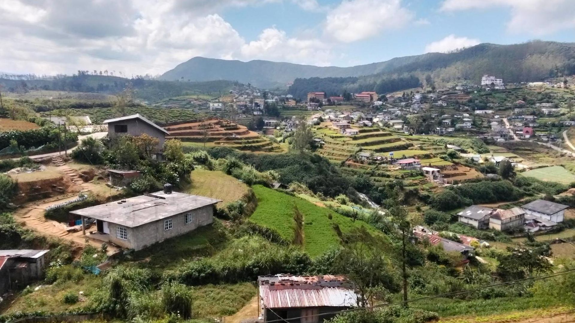 Rashini Mountain View