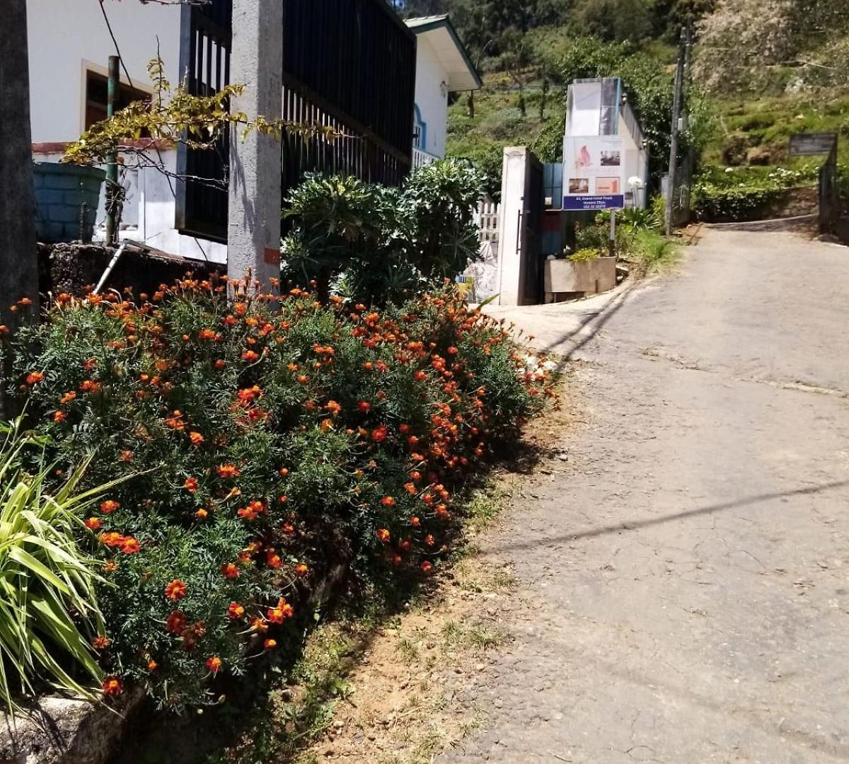 Oviya Guest Inn 3*