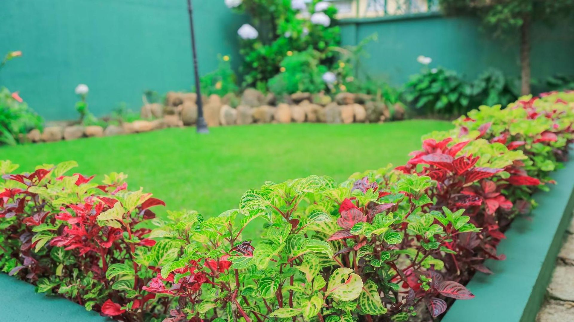 Grace Guest house Nuwara Eliya