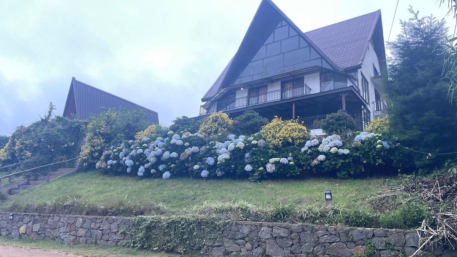Hotel Omaya Hills