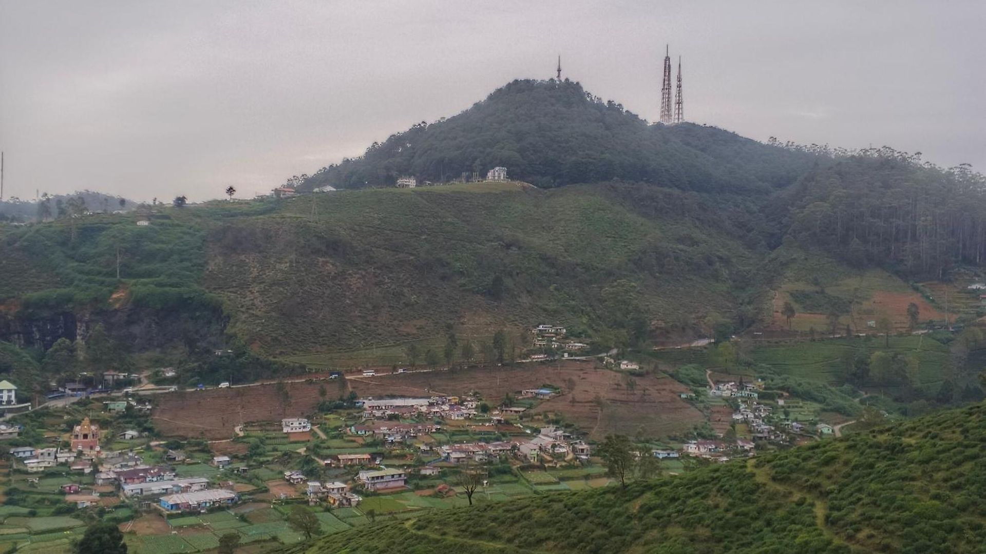 Mount View *