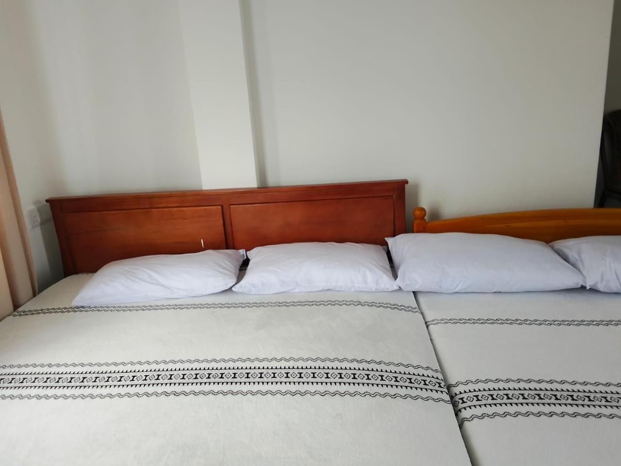 Bonavista View Guest house