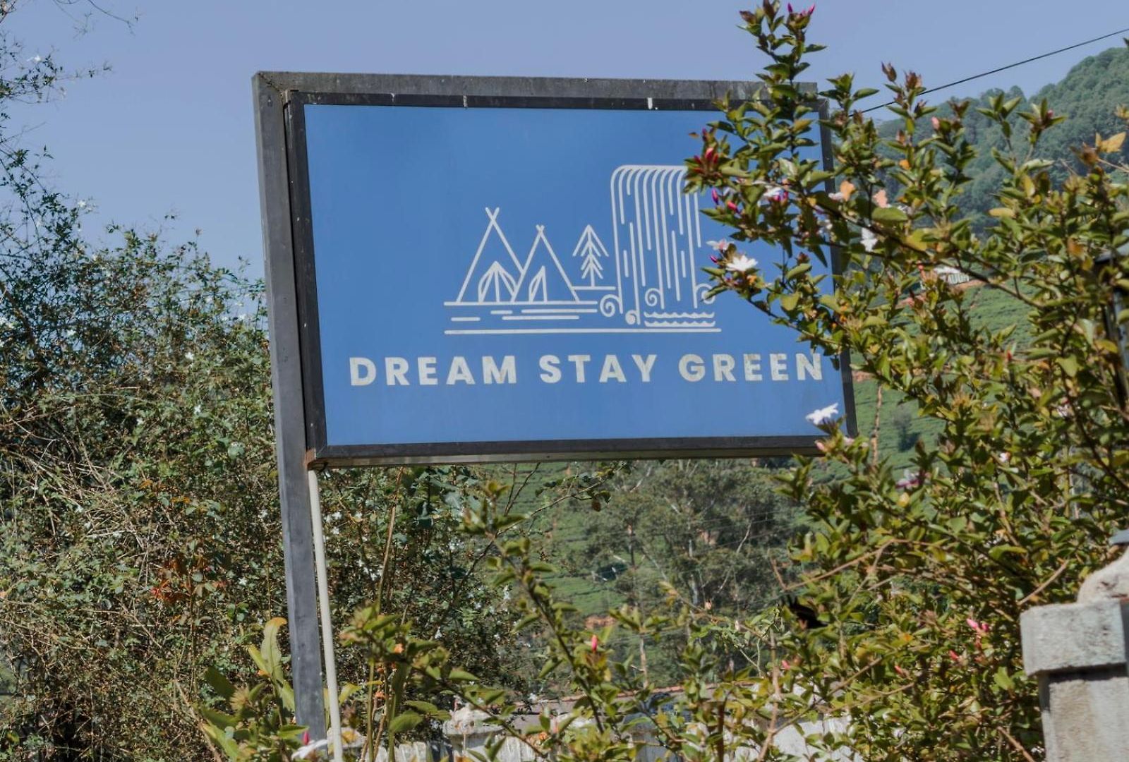 Homestay Dream *