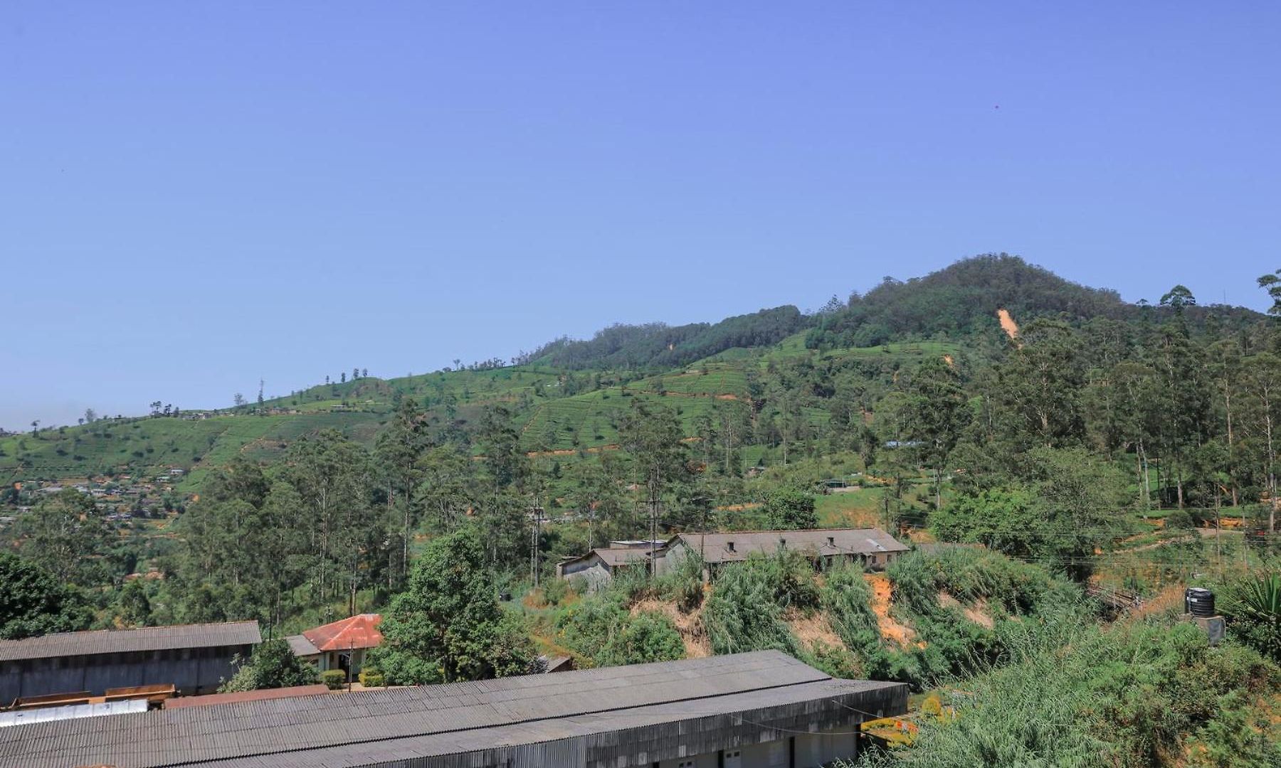 Homestay Dream