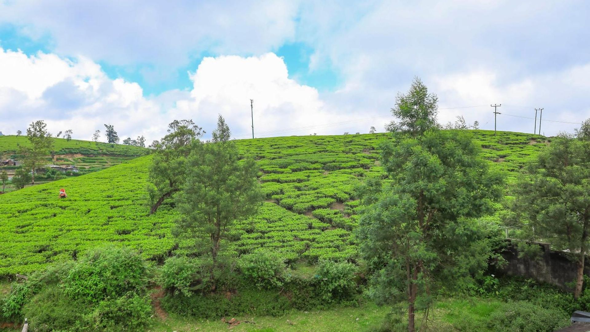 Queens 5* Nuwara Eliya