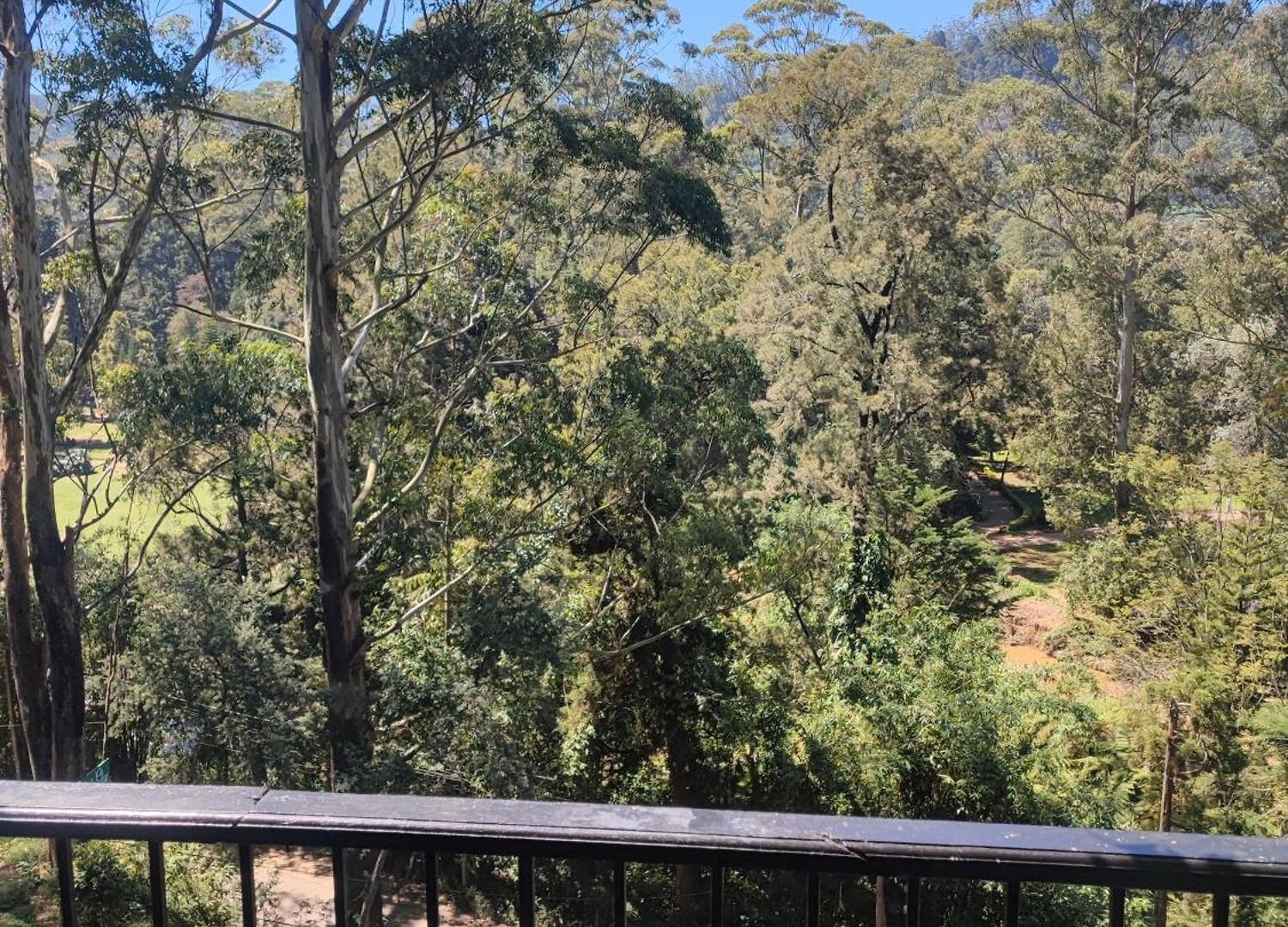 Forest Edge * Nuwara Eliya