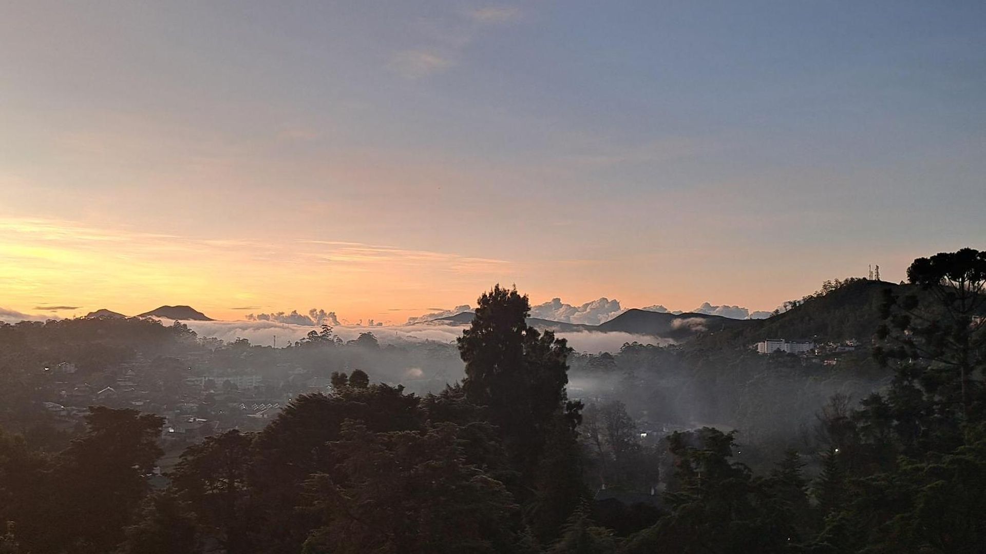 Redwood * Nuwara Eliya