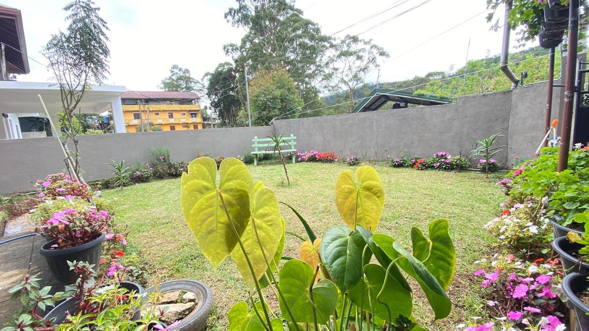 Wwpvne Winter Wood Private Nuwara Eliya