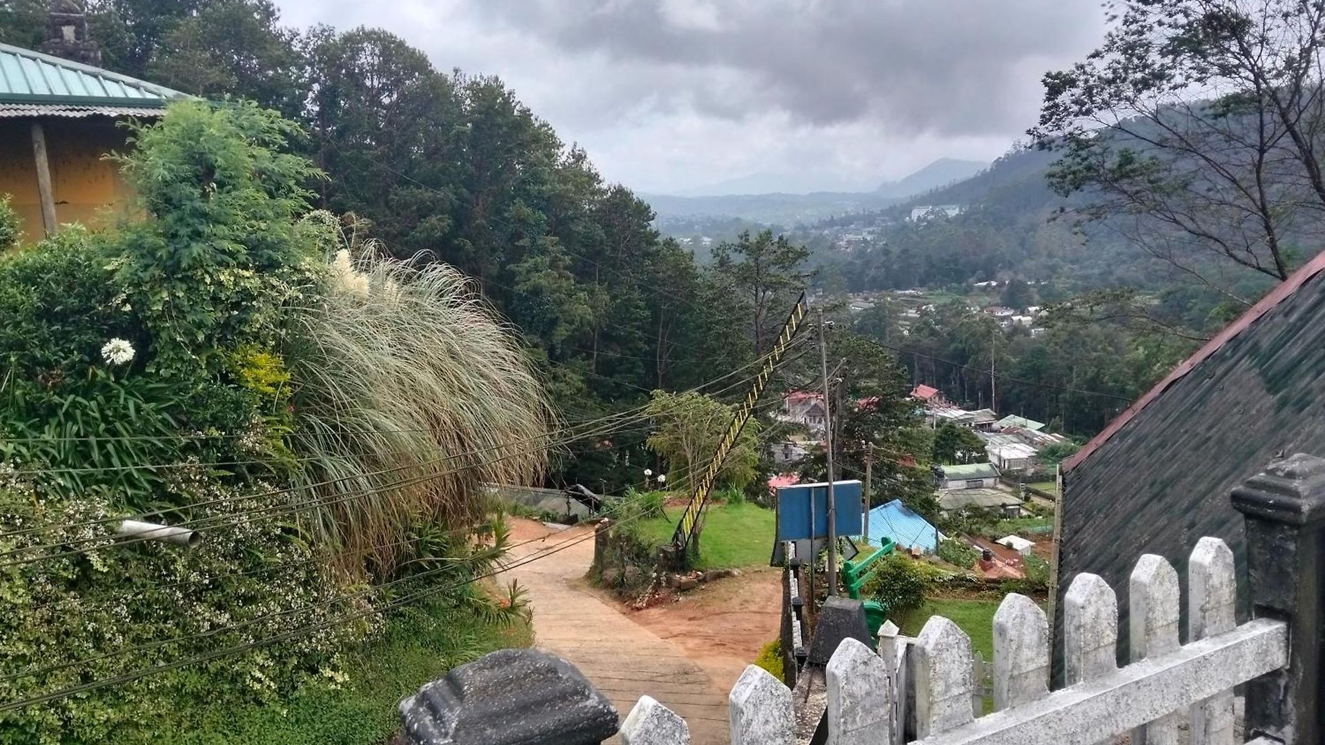 Mount View *