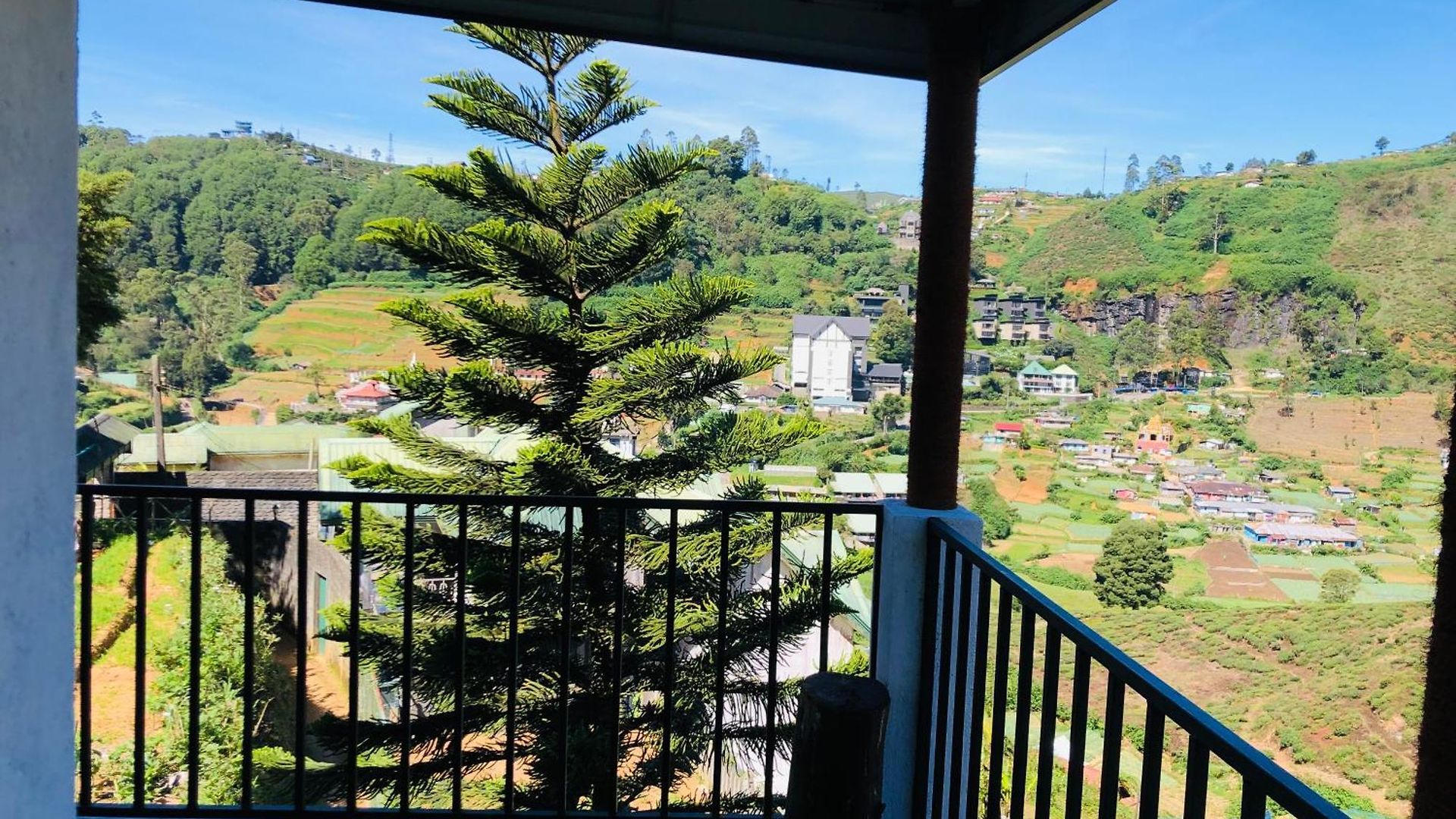 View Homestay *
