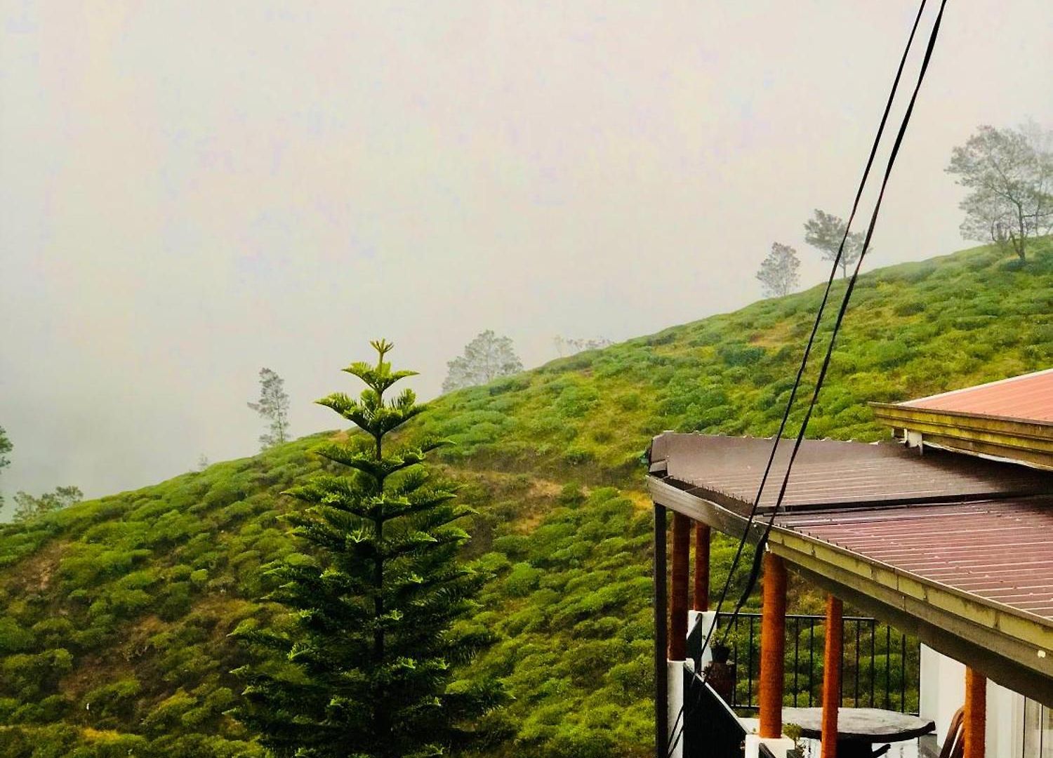 View Homestay