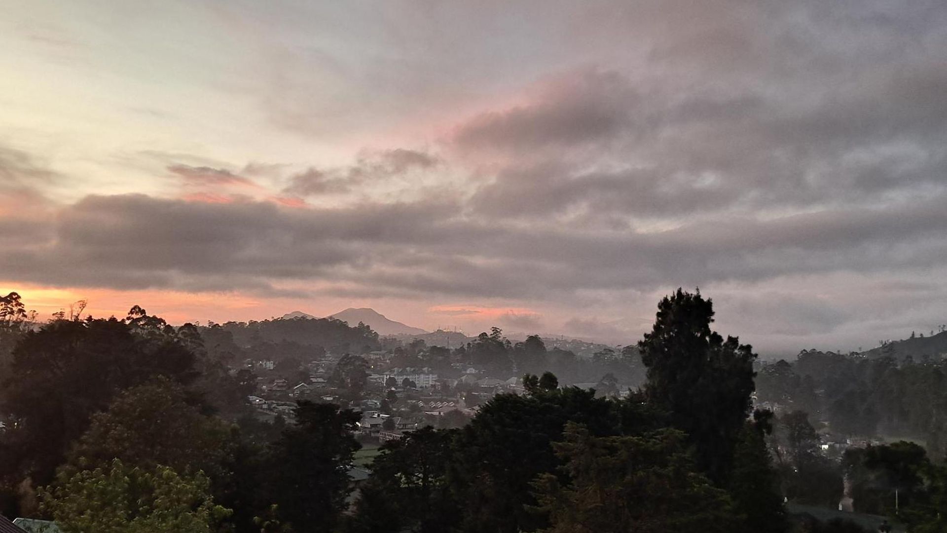Redwood Nuwara Eliya
