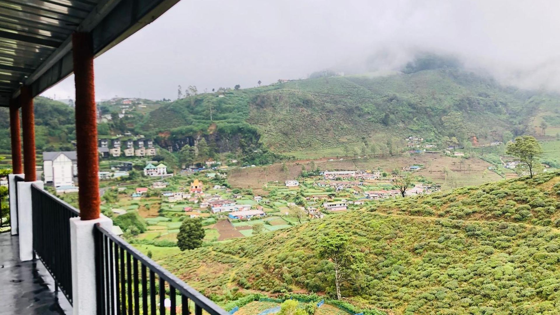 Homestay View *