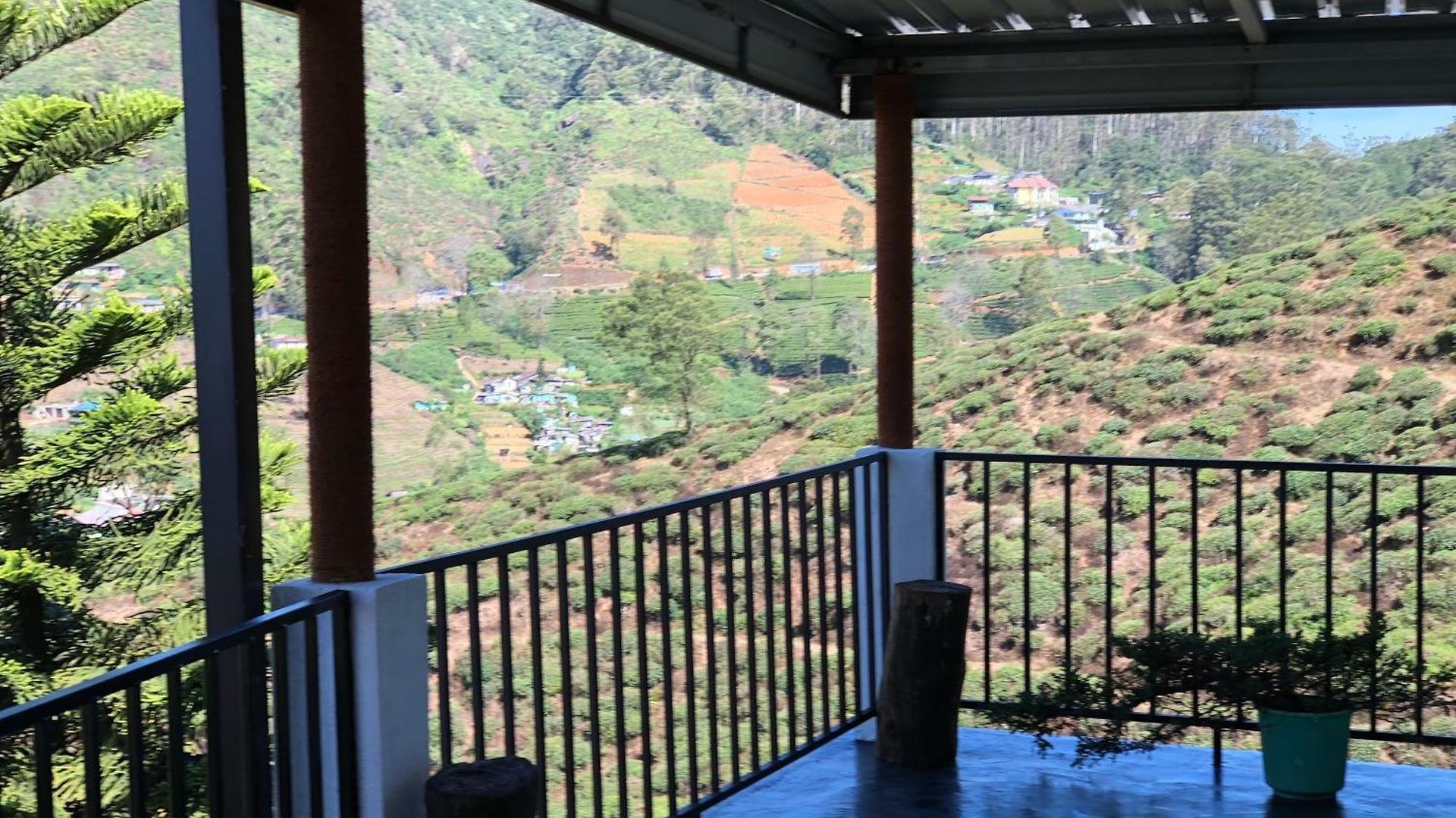 View *