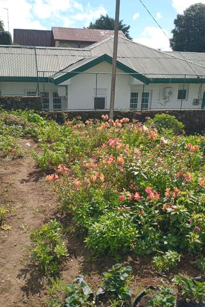 Frosty Heaven Guest House Guest house