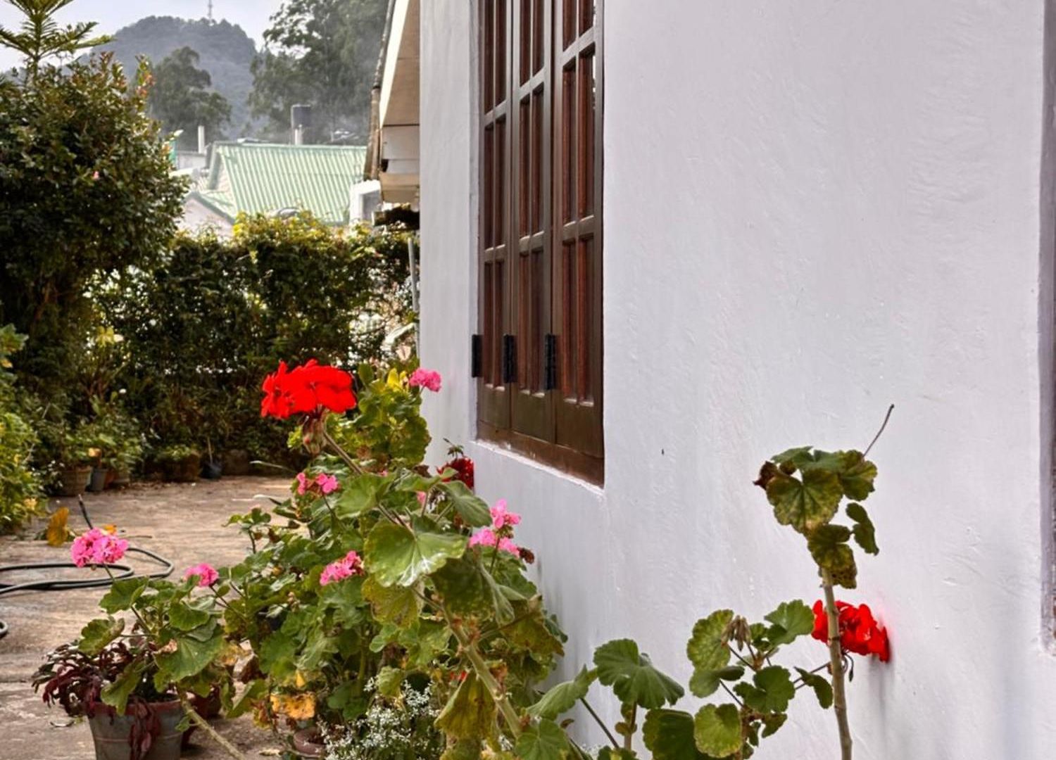 Shiny View Guest house